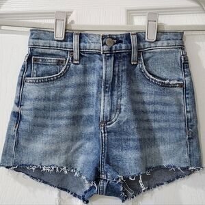 Denim Forum The Arlo Short (Size 23)